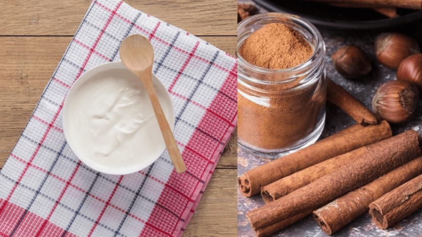  The many benefits and some drawbacks of adding cinnamon powder to curd