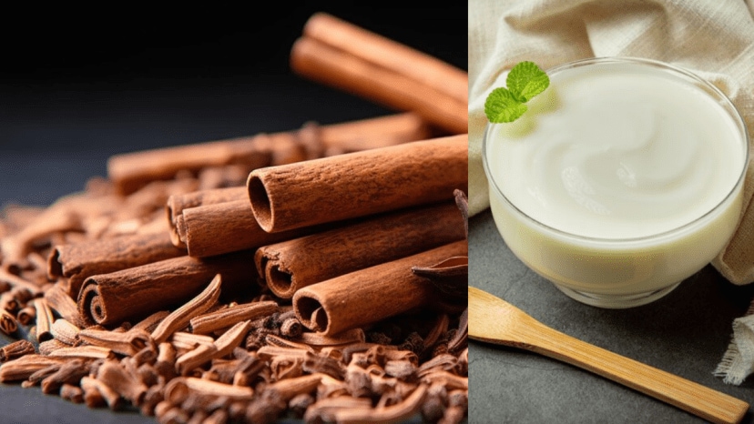  The many benefits and some drawbacks of adding cinnamon powder to curd