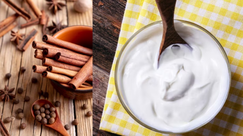  The many benefits and some drawbacks of adding cinnamon powder to curd