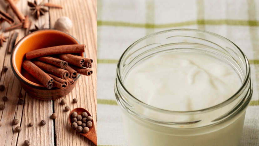  The many benefits and some drawbacks of adding cinnamon powder to curd