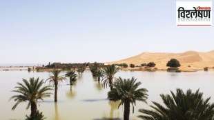 unusual summer rain and deluge in sahara desert change the fortunes of saharan countries