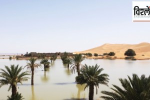 unusual summer rain and deluge in sahara desert change the fortunes of saharan countries