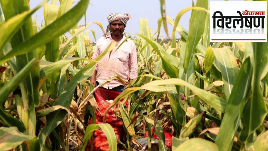 farm distress maharashtra election