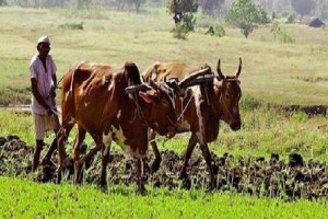 BJP focuses on agriculture sector to reduce farmers anger print politics news