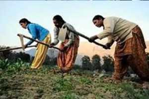 agriculture benefit for traders and sellers in rbi report