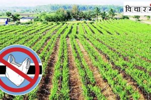 Use of plastic will be dangerous for agriculture