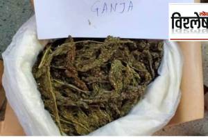 definition of ganja, nagpur High Court intervention