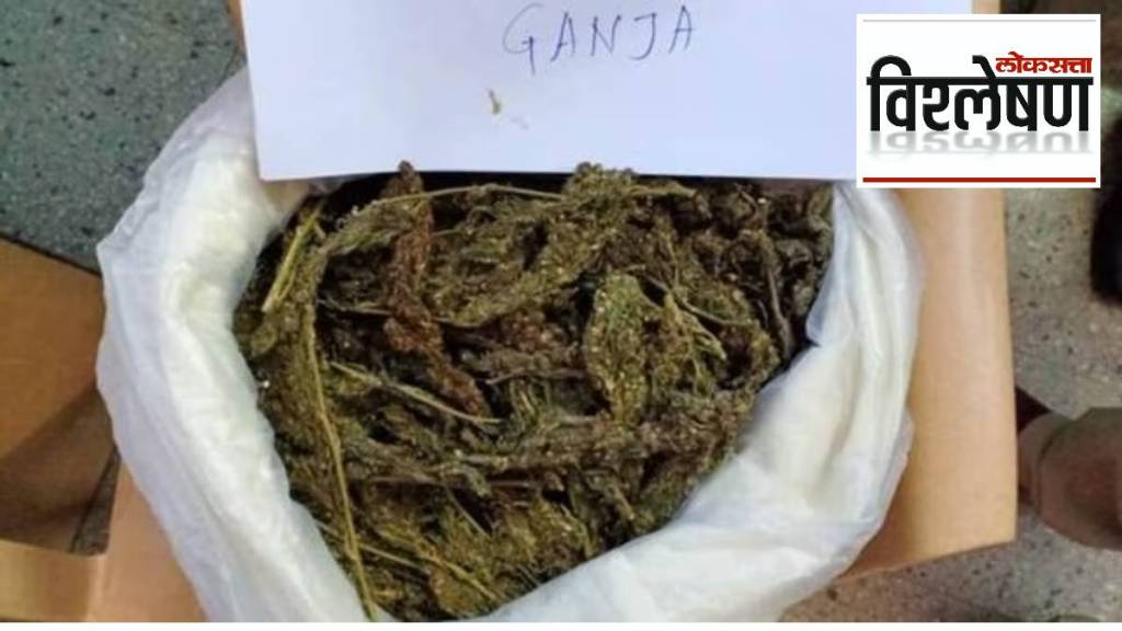 definition of ganja, nagpur High Court intervention