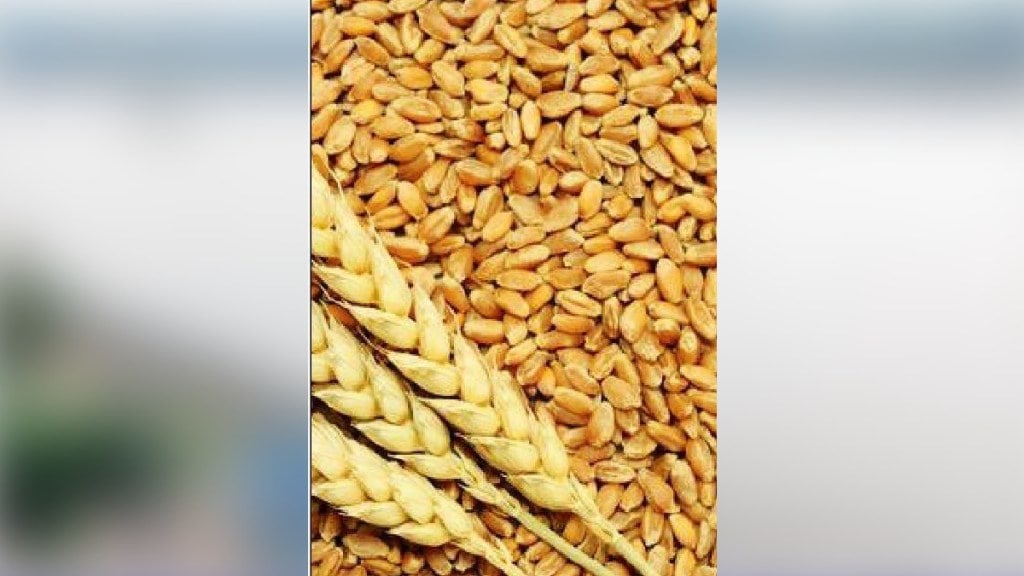 Increase in guaranteed price of six rabi crops