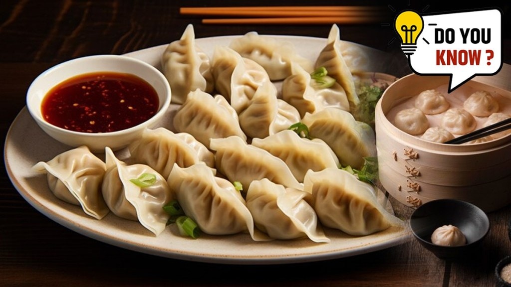 momos dumplings different from one another