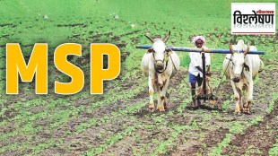 MSP on agricultural produce