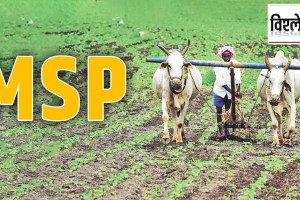 MSP on agricultural produce