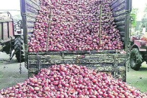 The theft of a tractor loaded with onions nashik crime news