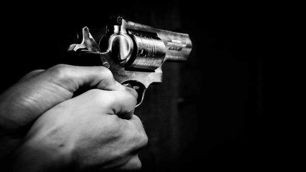 use of pistols in gangs of gangsters in Nagpur doubts on police functioning