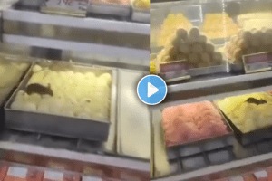 Rat found in mithai shop at delhi mouse runs over sweets viral video