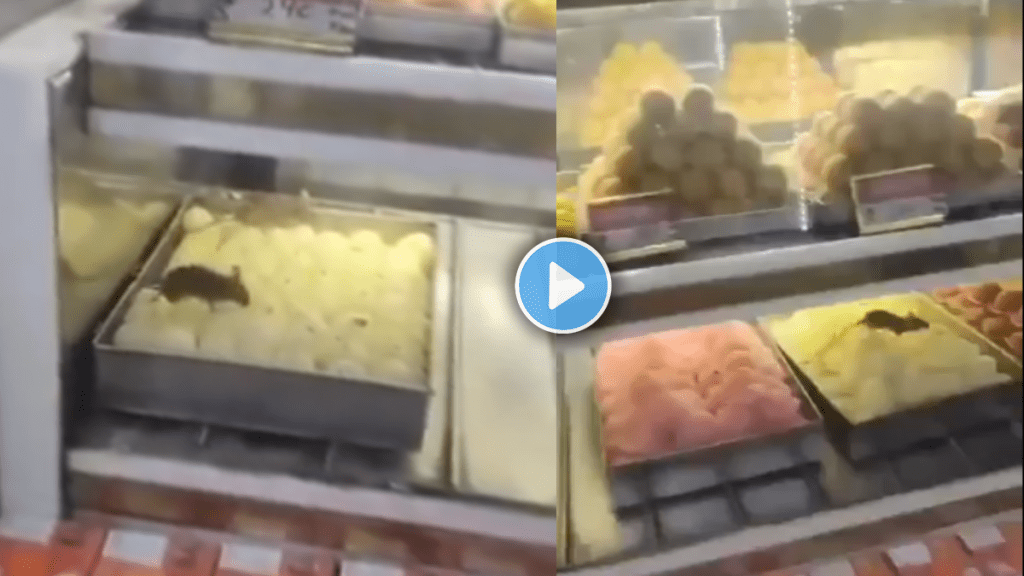 Rat found in mithai shop at delhi mouse runs over sweets viral video