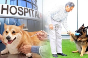 Hospital for animals set up by Mumbai Municipal Corporation in collaboration with Tata Trust Mumbai news