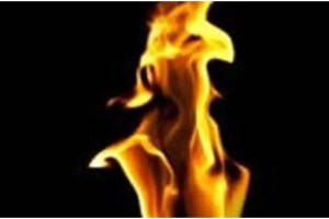 Five youths attempted self immolation in Abdul Sattar office Chhatrapati Sambhajinagar news