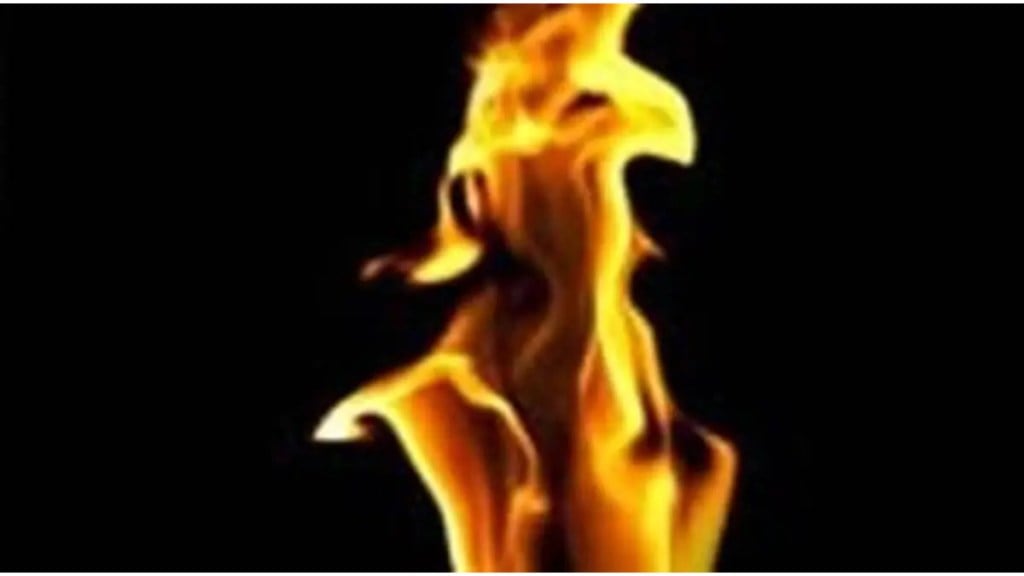 Five youths attempted self immolation in Abdul Sattar office Chhatrapati Sambhajinagar news