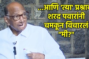 sharad pawar marathi news (4)