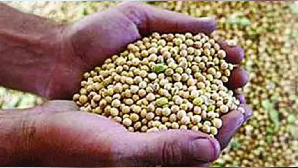 Farmers Complaints Regarding Soybean Guaranteed Price and Procurement Centre karad