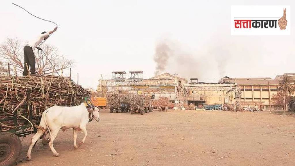 sugar factory lobbies, maharashtra assembly election 24, candidates