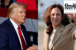 trump kamala harris