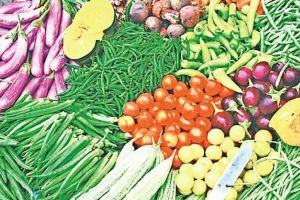 In Vashis APMC market vegetable prices dropped due to increased arrivals