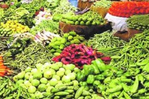 Increase in the price of tomato cabbage chillies Pune news