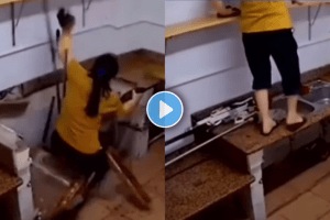 Diwali safsafai woman fell from the kitchen social media video viral