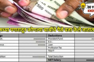 what is gross salary net salary ctc