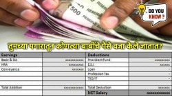 तुमच्या Gross Salary पेक्षा तुम्हाला प्रत्यक्ष मिळणारी Net Salary कमी का असते? हे बाकीचे पैसे जातात कुठे?