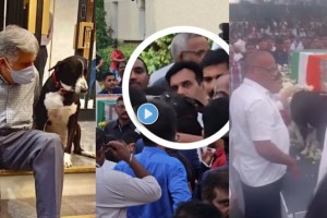 when pet dog goa saw ratan tata for the last time video