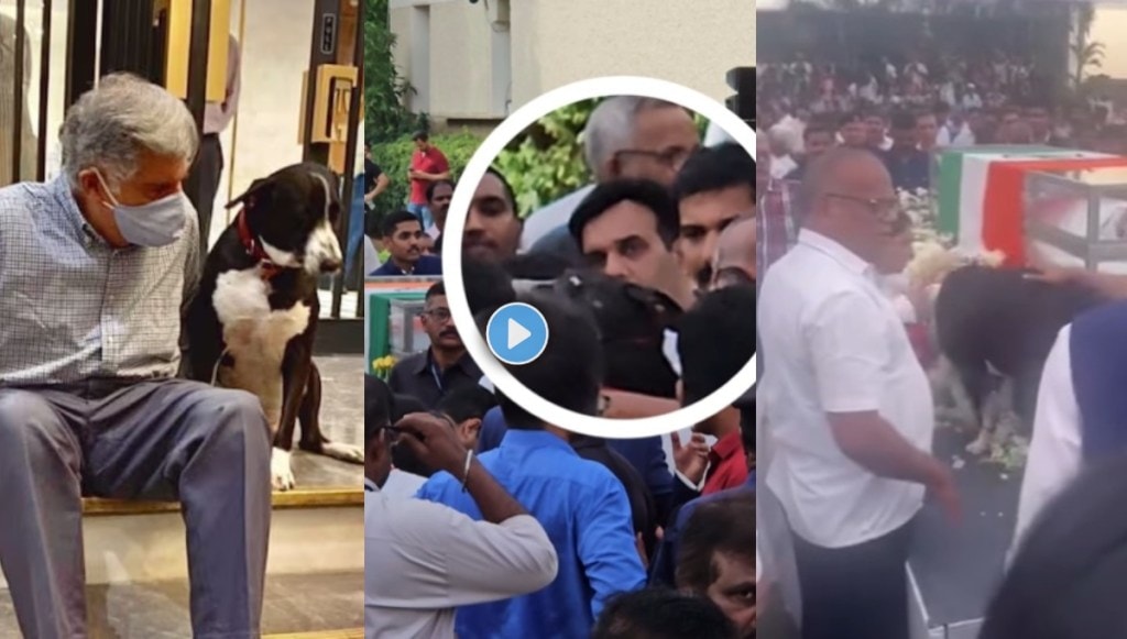 when pet dog goa saw ratan tata for the last time video