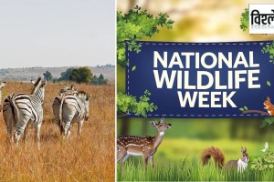 reason behind celebration of wildlife week