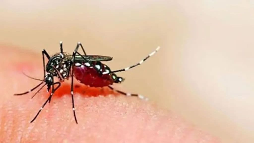 Zika cases continue to rise in Pune More pregnant patients