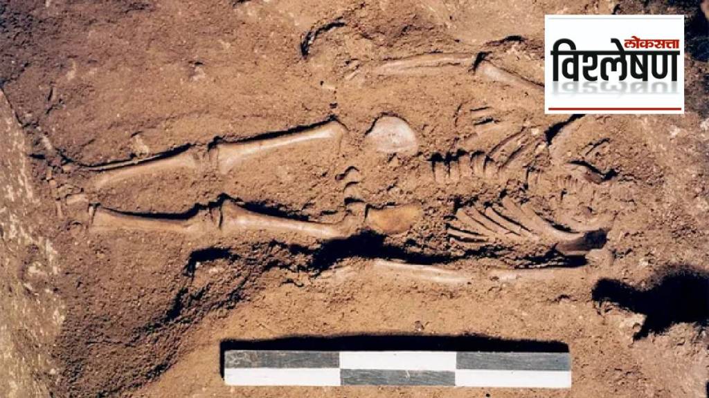 17,000-year-old remains of blue-eyed baby boy unearthed in Italy