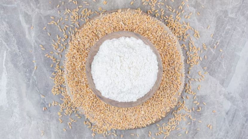 Wheat Flour vs Rava