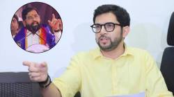 Aditya Thackeray : “शिंदेच्या दोन मंत्र्यांसह आठ जणांना परत यायचं होतं, पण…”, आदित्य ठाकरेंनी सांगितलं आठवडाभरापूर्वी ‘मातोश्री’वर काय घडलं