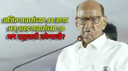 Sharad Pawar : विधानसभेच्या निकालानंतर राष्ट्रवादी कोणाची? शरद पवार म्हणाले, “अजित पवारांच्या जास्त जागा…”