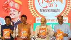 BJP Manifesto : भाजपाच्या जाहीरनाम्यात लाडक्या बहिणींना २१०० रुपये देण्याचं आश्वासन , शेतकऱ्यांना कर्जमाफीसह ‘या’ घोषणा