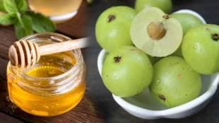 Benefits of Amla and Honey In Marathi