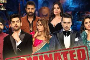 Bigg Boss 18 Shrutika Arjun, Vivian DSena, Avinash Mishra, Karan Veer Mehra, Tajinder Bagga, Sara Arfeen Khan and Kashish Kapoor are nominated