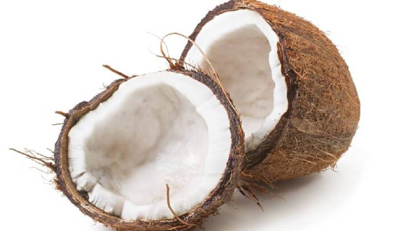 Coconuts have hard shells and contain liquid inside