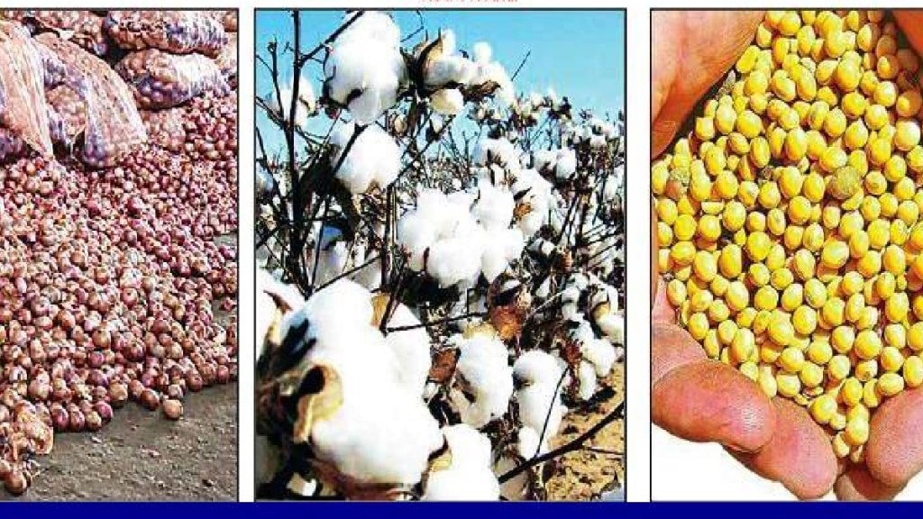 Onion garlic became expensive while the prices of cotton soybeans decreased