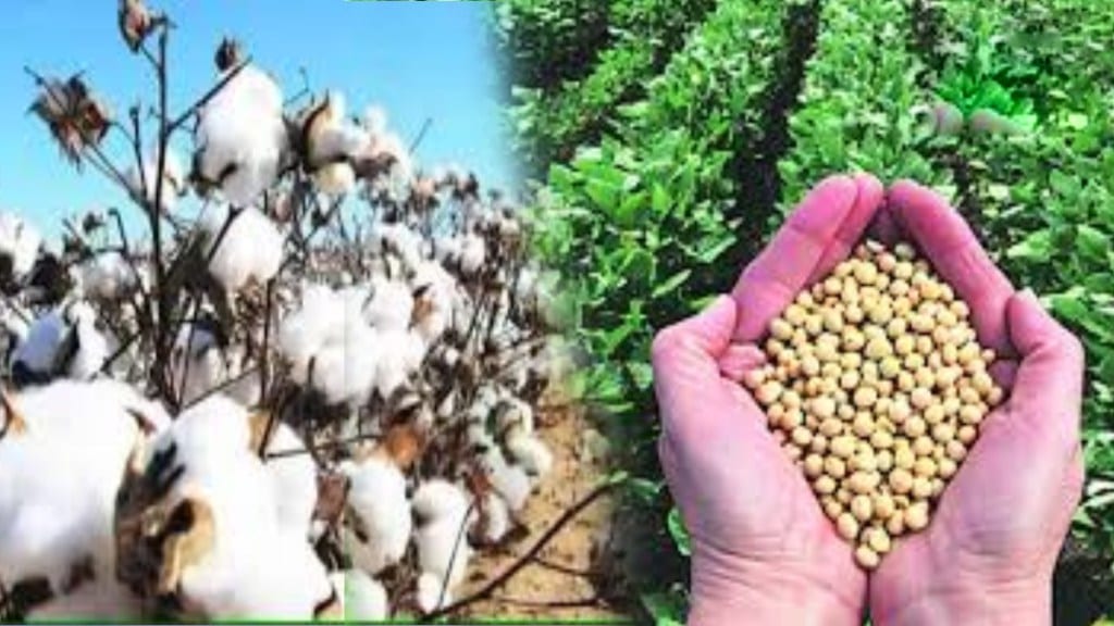 Increase in cotton soybean prices print politics news