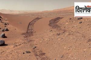 Did NASA accidentally kill living creatures on Mars?