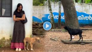 Dog Help Women And Protect From Another Street Dog