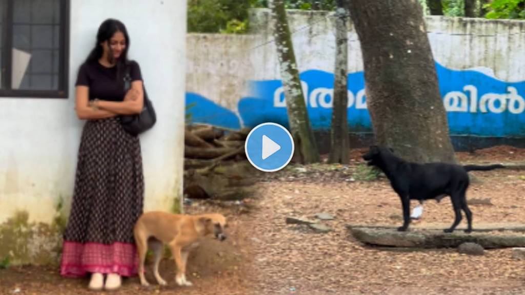 Dog Help Women And Protect From Another Street Dog