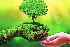 Voters in Malabar Hill insist on environment conservation in the wake of assembly elections 2024 mumbai print news